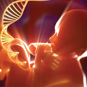 aneuploidy screening 